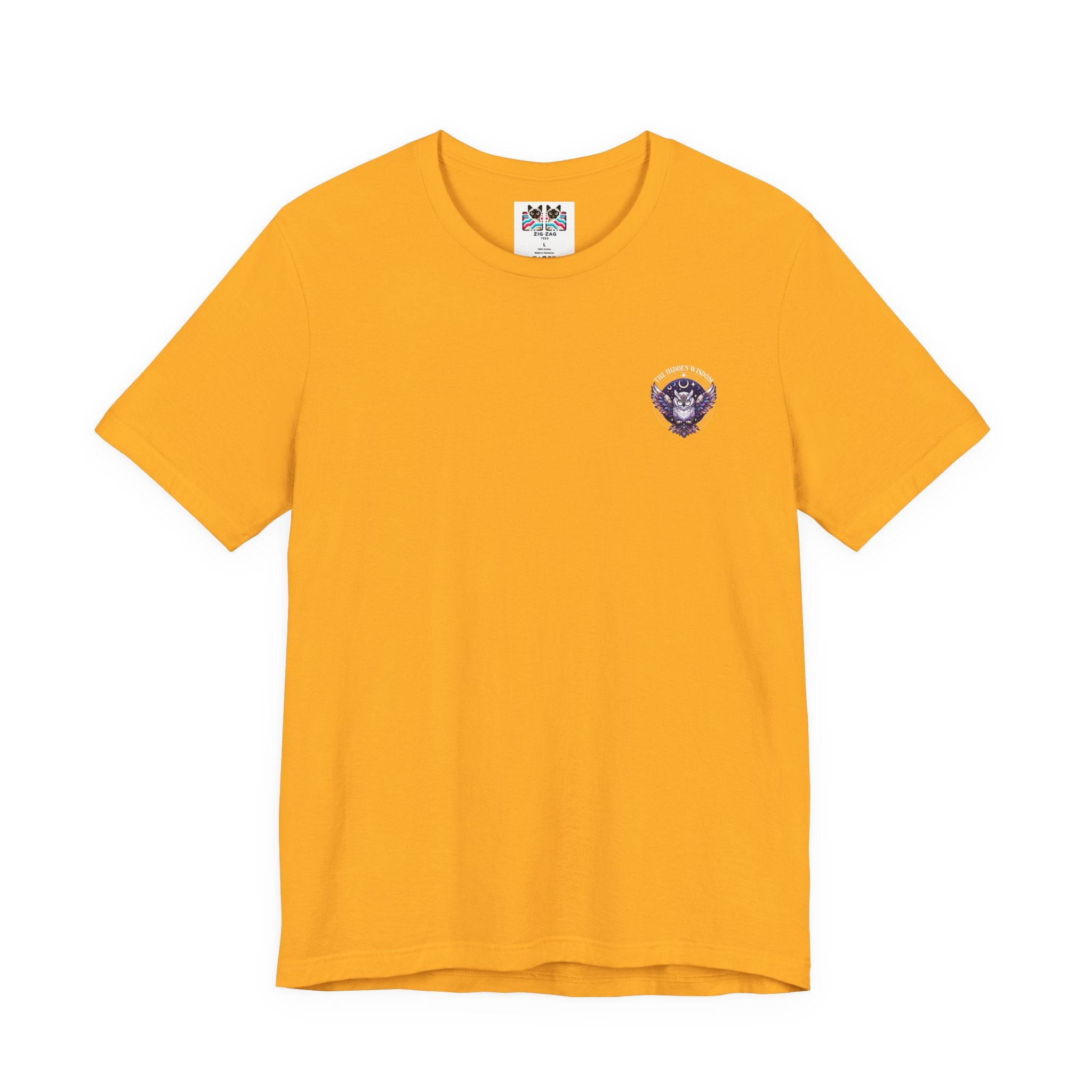 The Hidden Wisdom Within T-Shirt – Vibrant Flying Owl with Geometric Lines