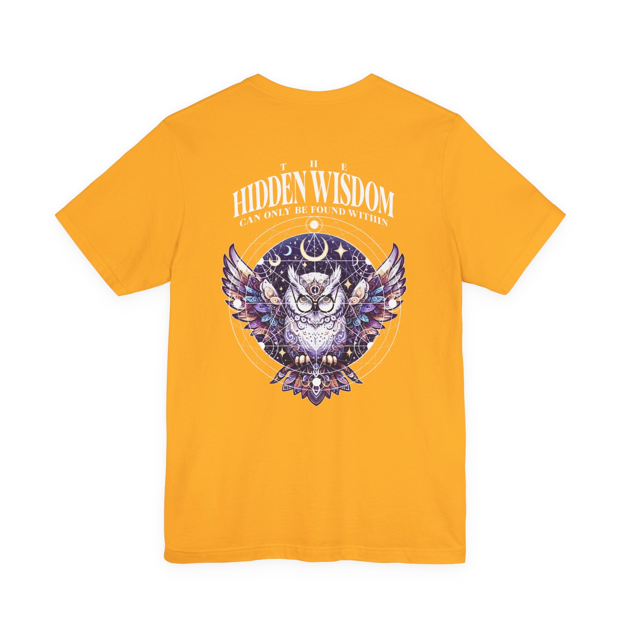 The Hidden Wisdom Within T-Shirt – Vibrant Flying Owl with Geometric Lines