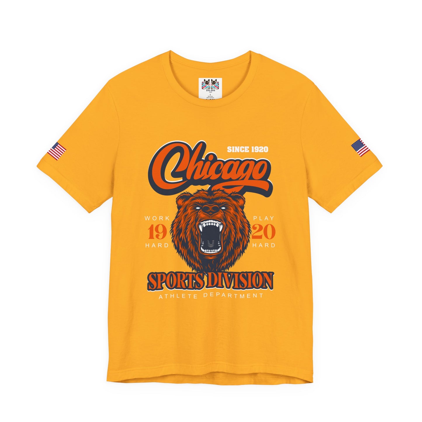 Chicago Sports Division T-Shirt - Since 1920 Bear Mascot Work Hard Play Hard