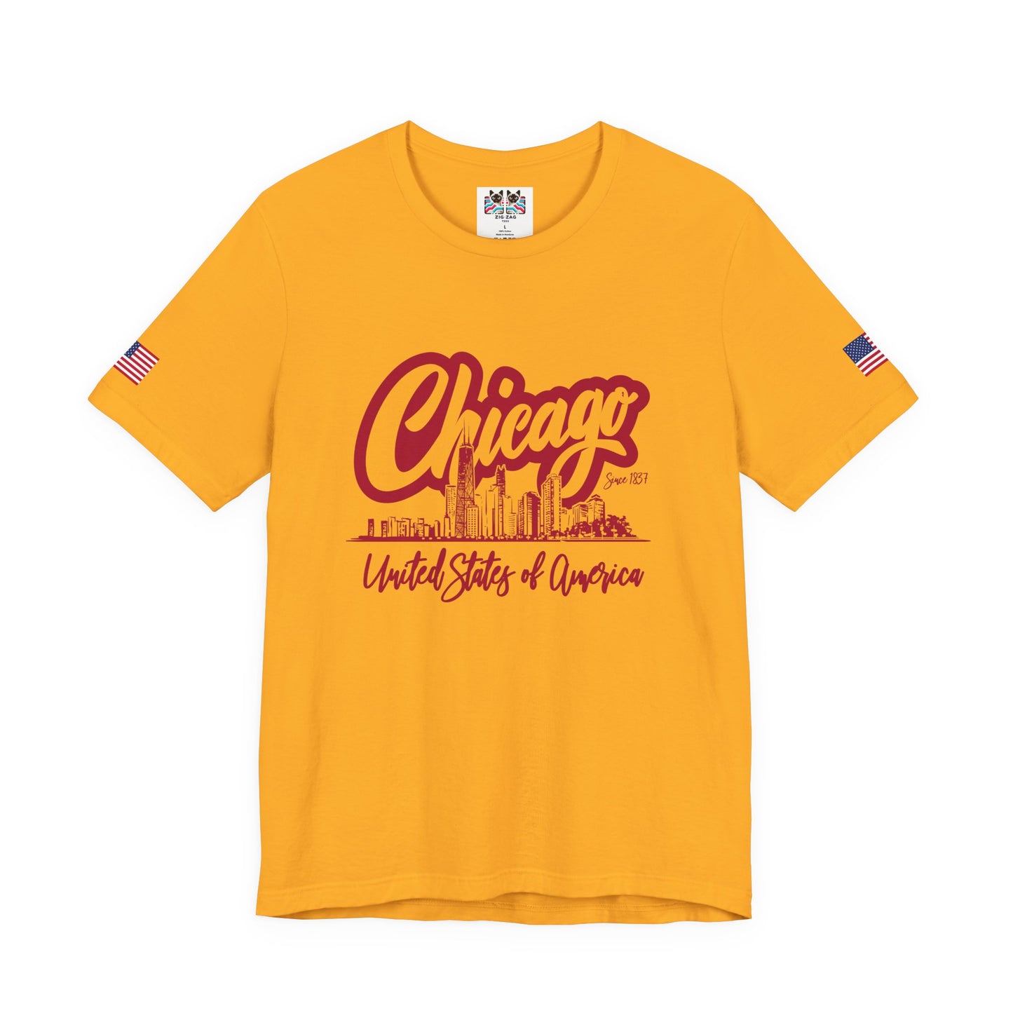 Chicago Since 1837 T-Shirt - Script Illinois United States of America Skyline