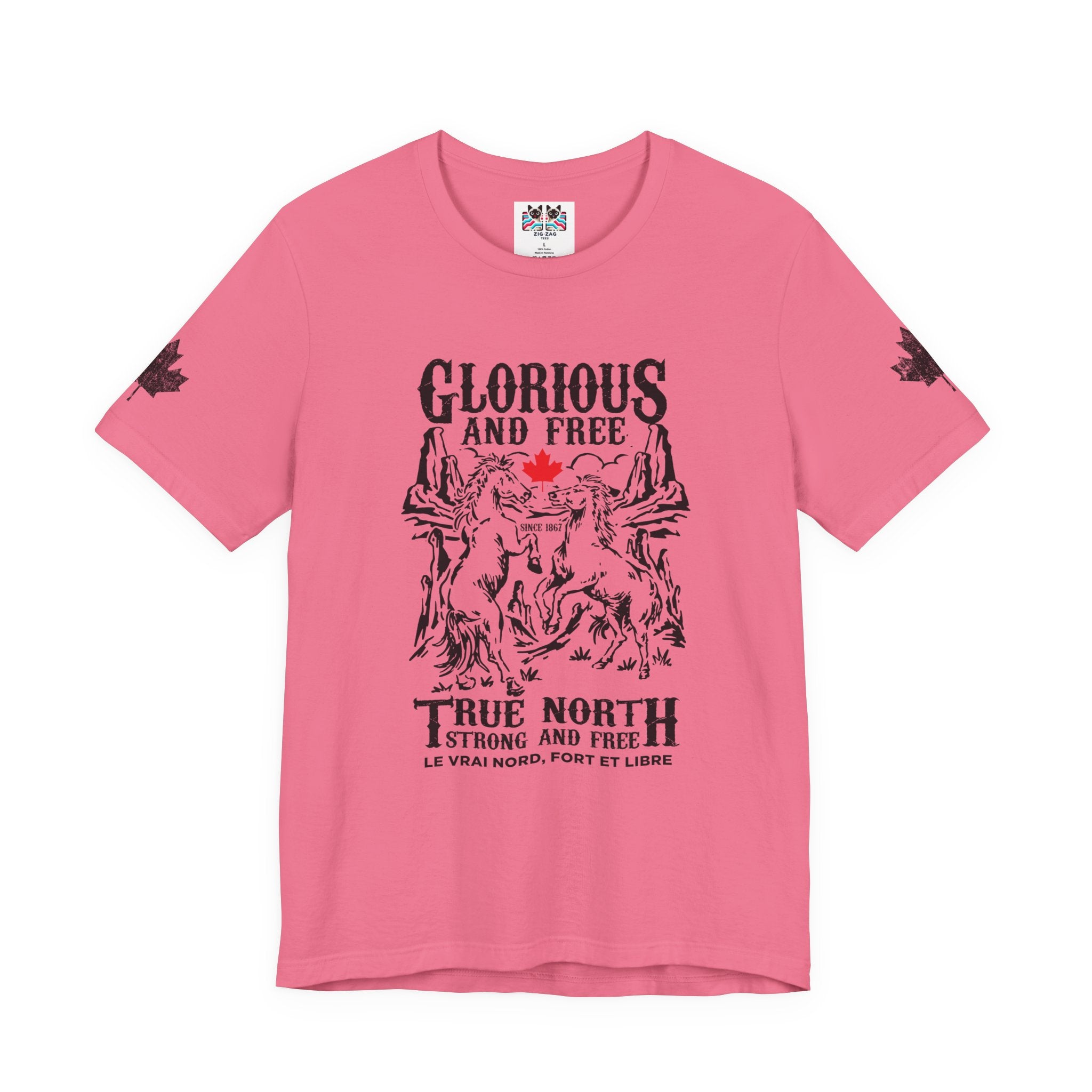 Canada Canadian Horse True North T-Shirt