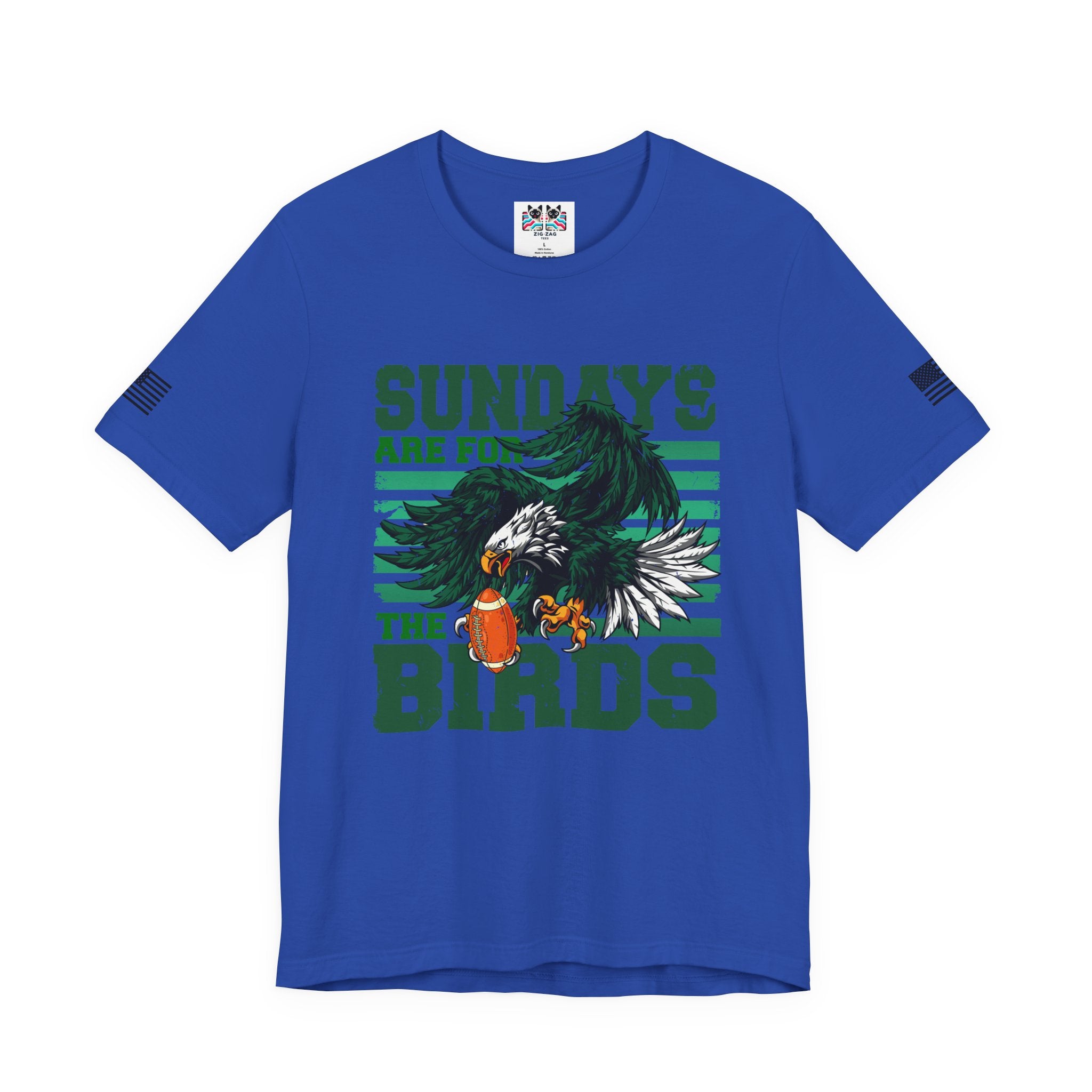Sundays Are for the Birds T-Shirt – Fierce Diving Eagle Football Graphic Tee Philadelphia Fan