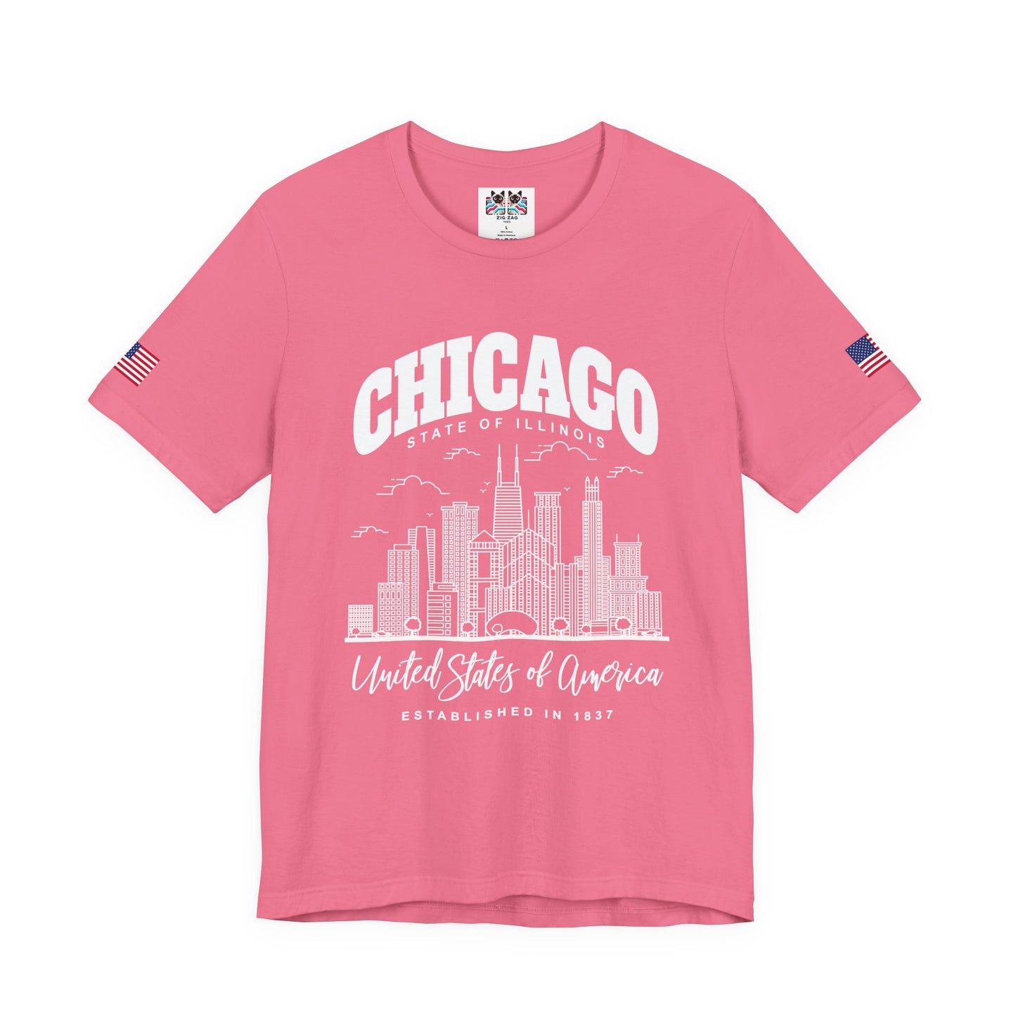 Chicago Illinois T-Shirt - State of Illinois Est 1837 White Skyline Design