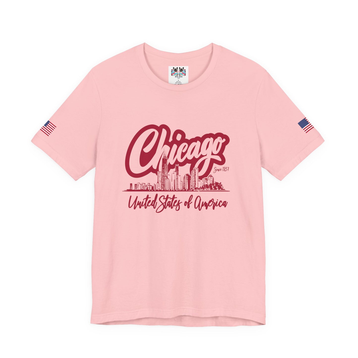 Chicago Since 1837 T-Shirt - Script Illinois United States of America Skyline