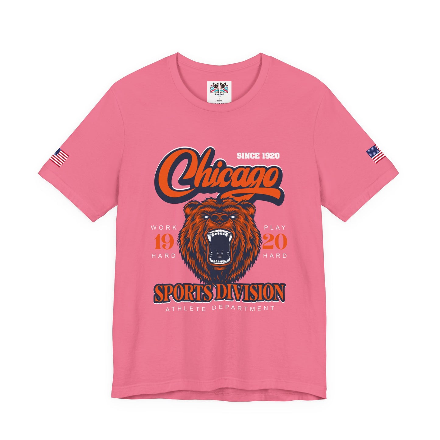Chicago Sports Division T-Shirt - Since 1920 Bear Mascot Work Hard Play Hard