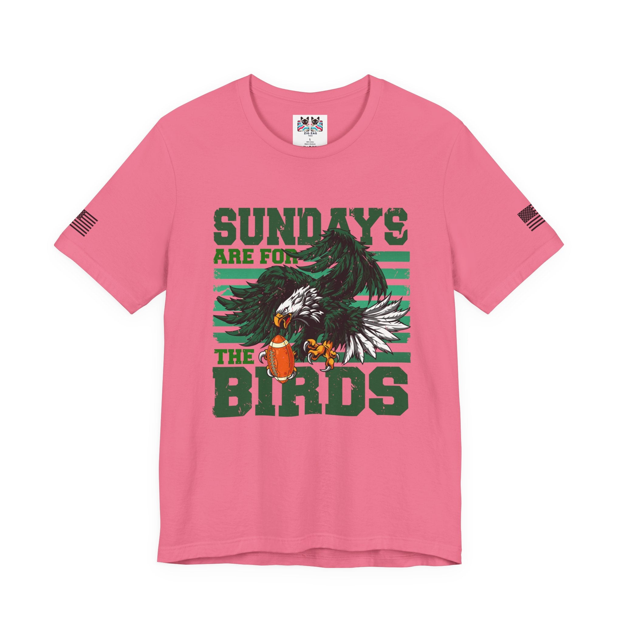 Sundays Are for the Birds T-Shirt – Fierce Diving Eagle Football Graphic Tee Philadelphia Fan
