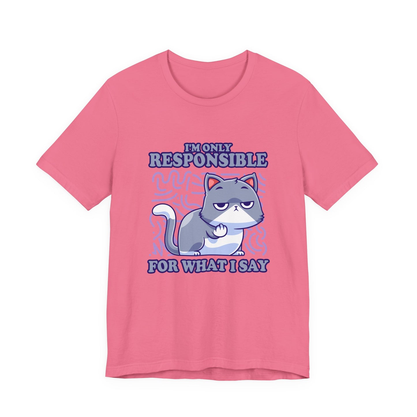 I’m Only Responsible for What I Say T-Shirt – Sassy Cat Waiting Gesture Graphic Tee