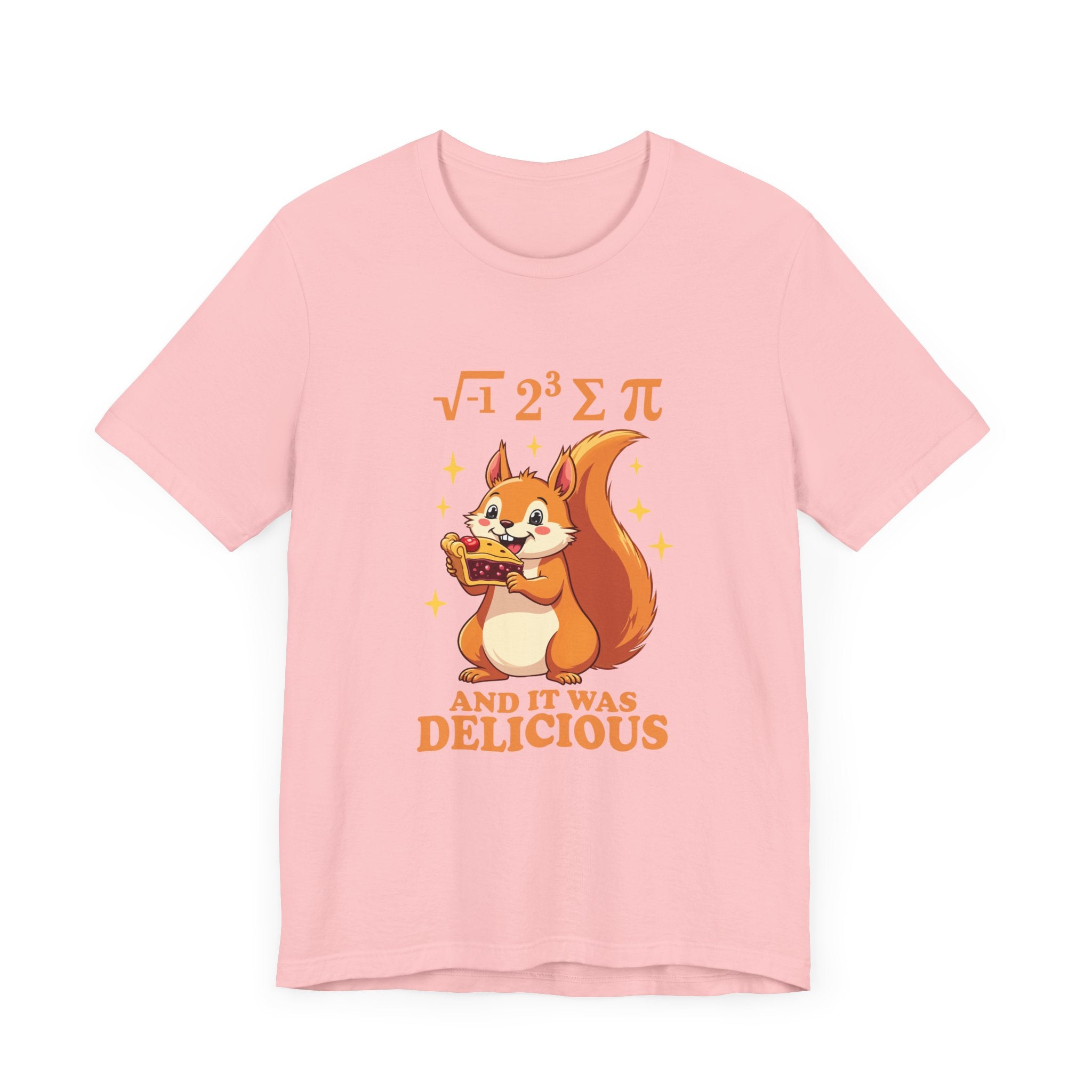 Funny Math Squirrel T-Shirt – “i 8 sum pi and it was delicious” Equation Pun