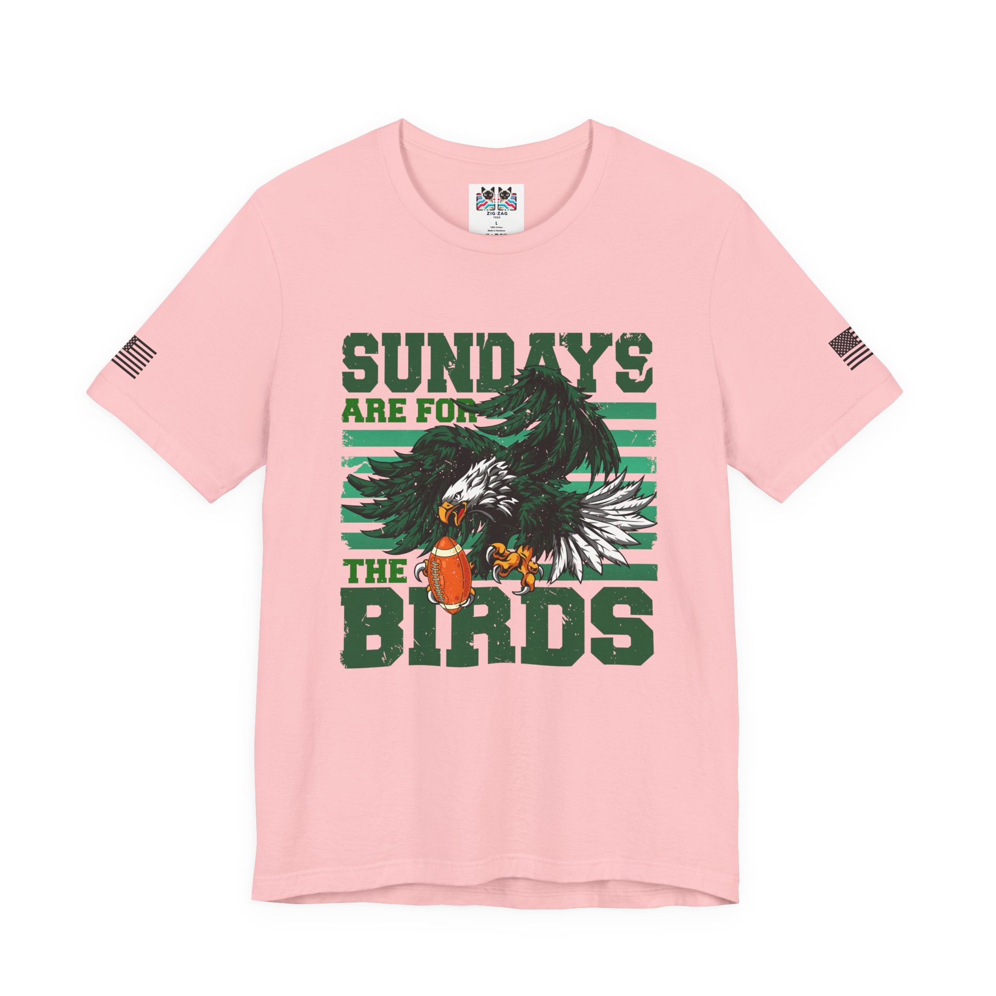 Sundays Are for the Birds T-Shirt – Fierce Diving Eagle Football Graphic Tee Philadelphia Fan