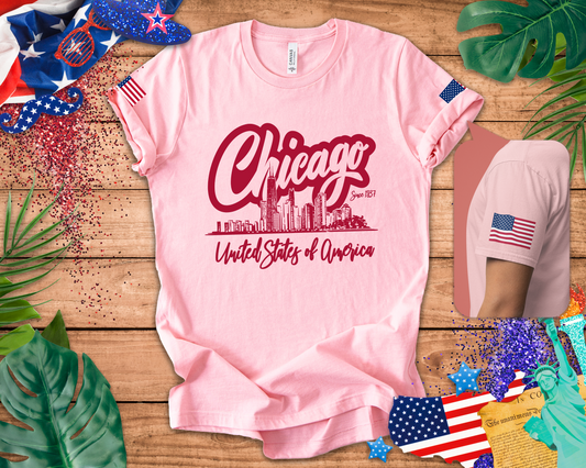 Chicago Since 1837 T-Shirt - Script Illinois United States of America Skyline