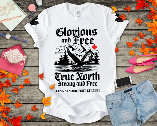 Canada Goose True North Flight T-Shirt