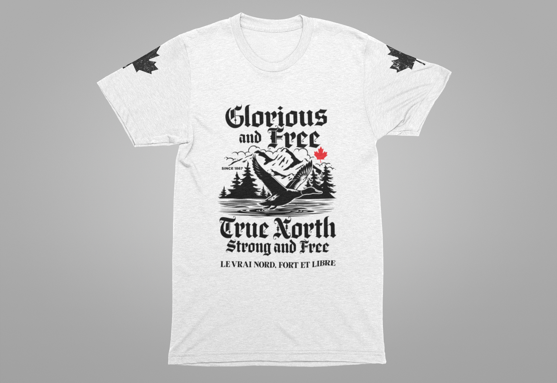 Canada Goose True North Flight T-Shirt