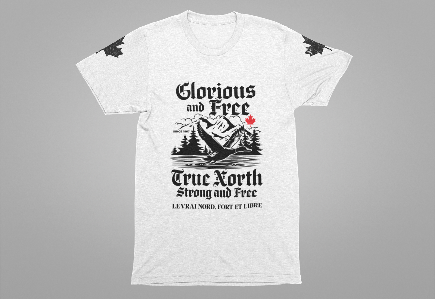 Canada Goose True North Flight T-Shirt