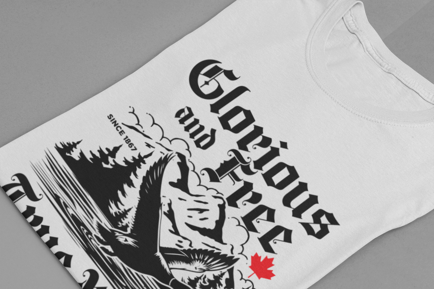 Canada Goose True North Flight T-Shirt