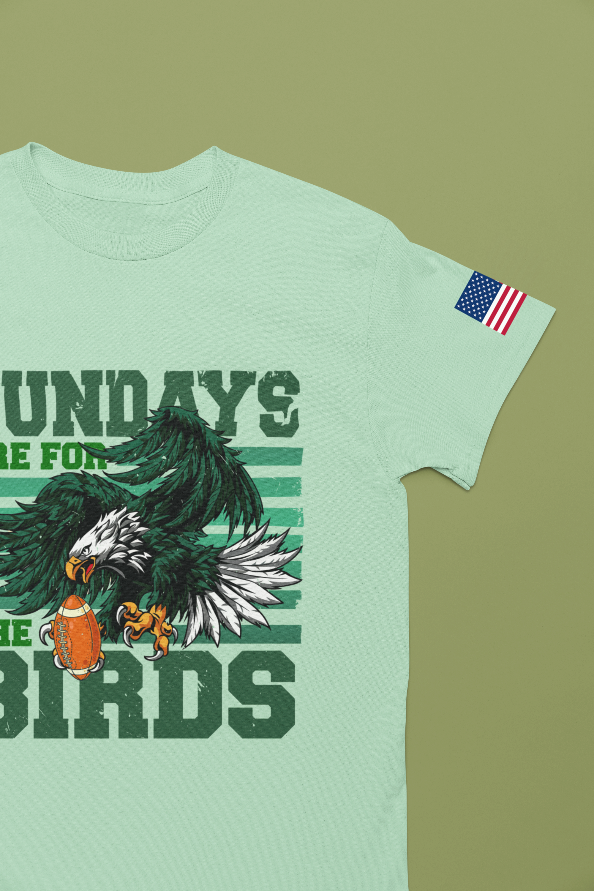 Sundays Are for the Birds T-Shirt – Fierce Diving Eagle Football Graphic Tee Philadelphia Fan