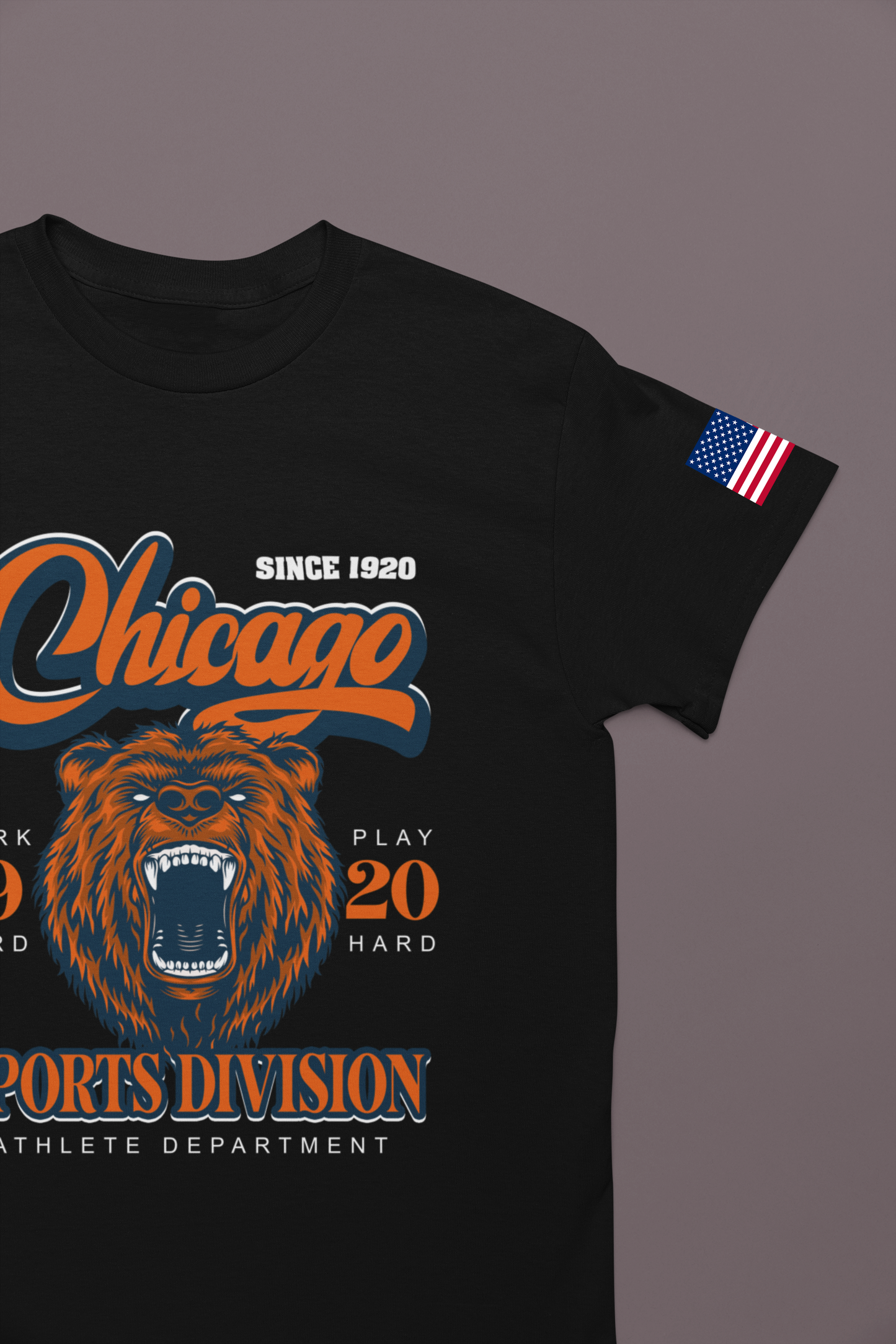 Chicago Sports Division T-Shirt - Since 1920 Bear Mascot Work Hard Play Hard