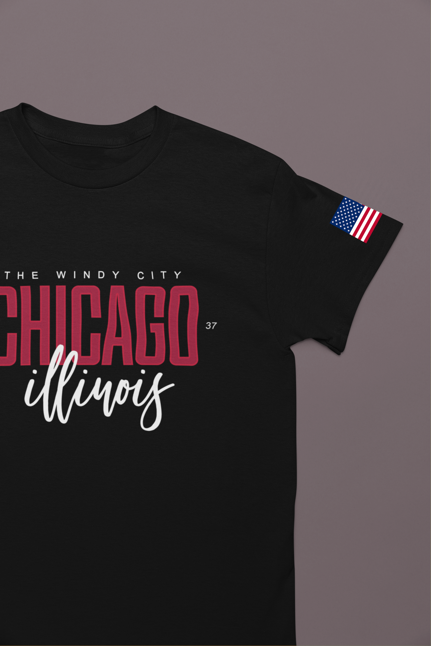 The Windy City Chicago T-Shirt - Chicago Illinois 1837 Purple Typography Design