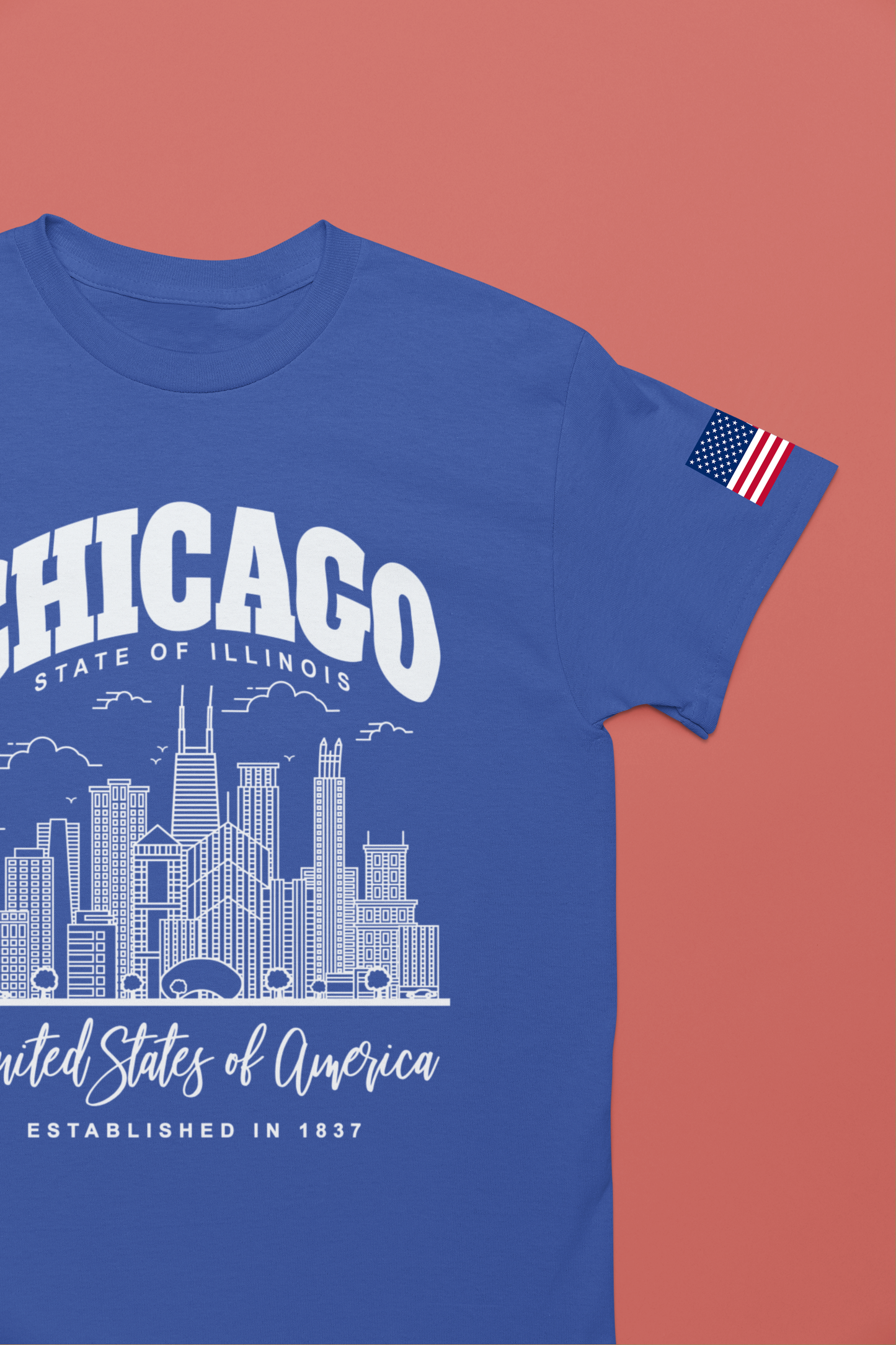 Chicago Illinois T-Shirt - State of Illinois Est 1837 White Skyline Design